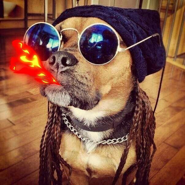 bazEElik avatar