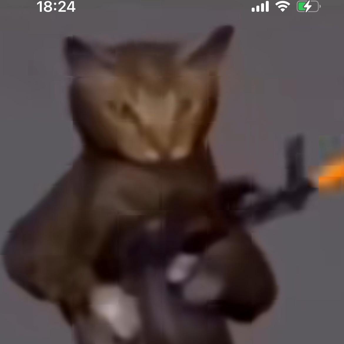 masskoff1 avatar