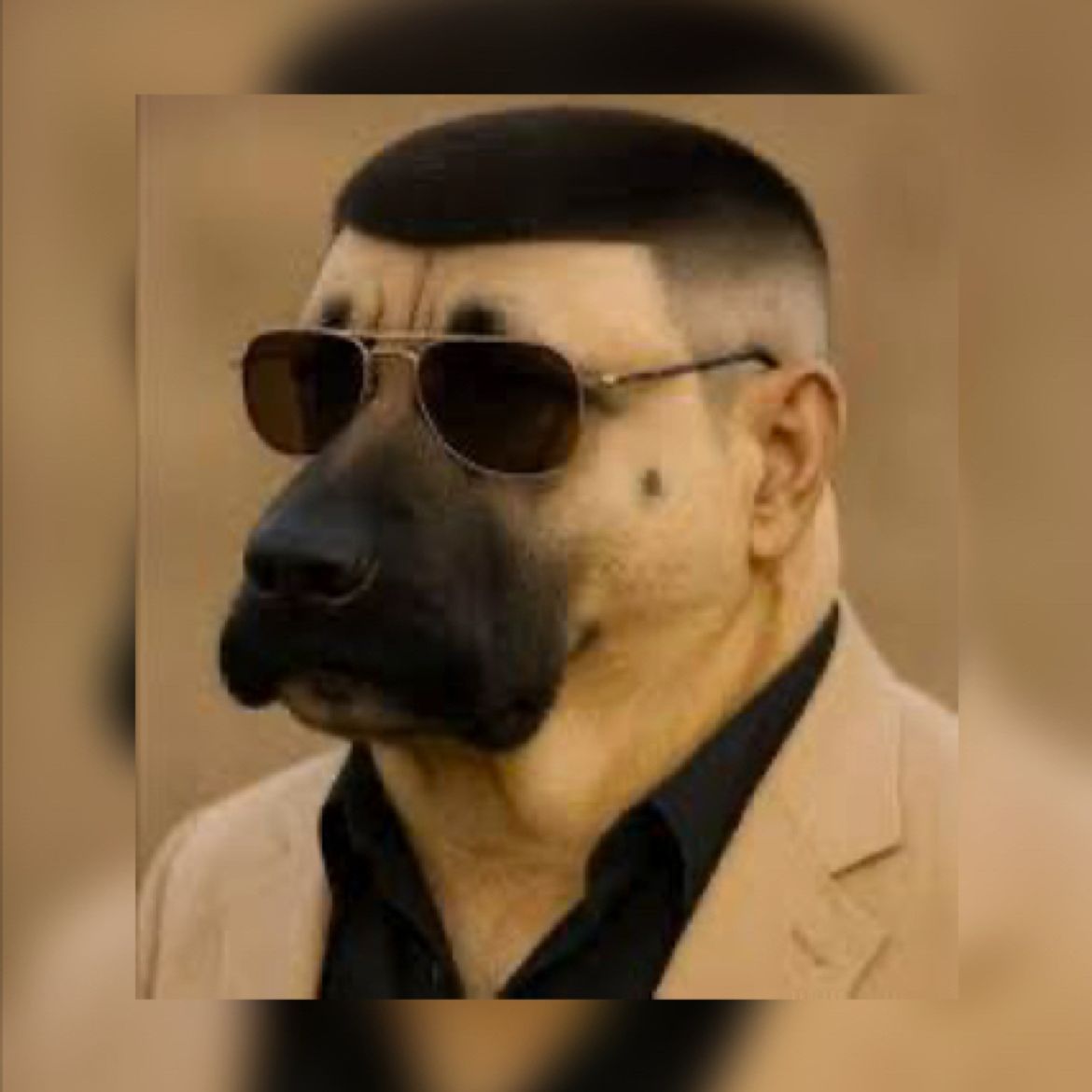 SLayerRookie