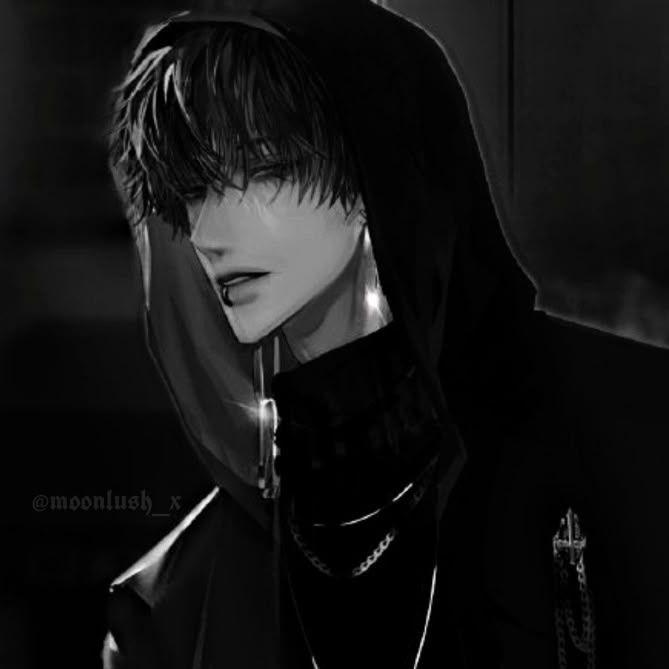HaxLabel avatar