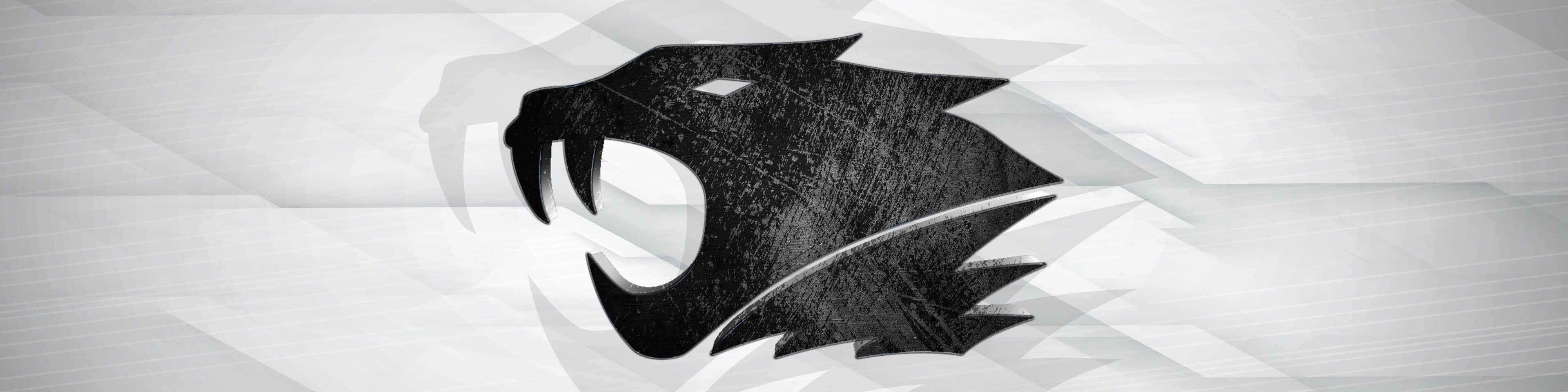 Faceit banner for @hacking