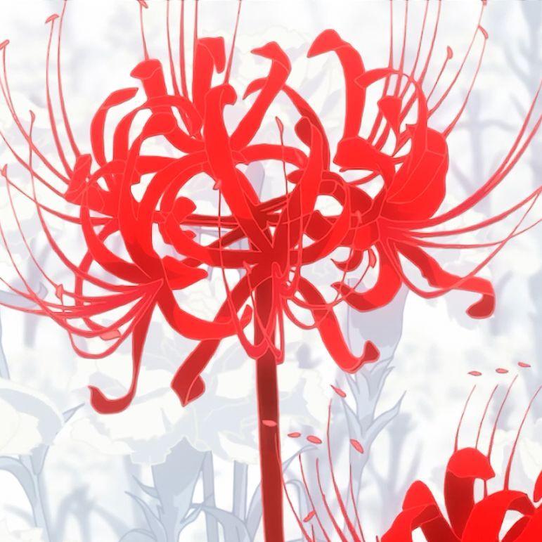 lycoris__ avatar