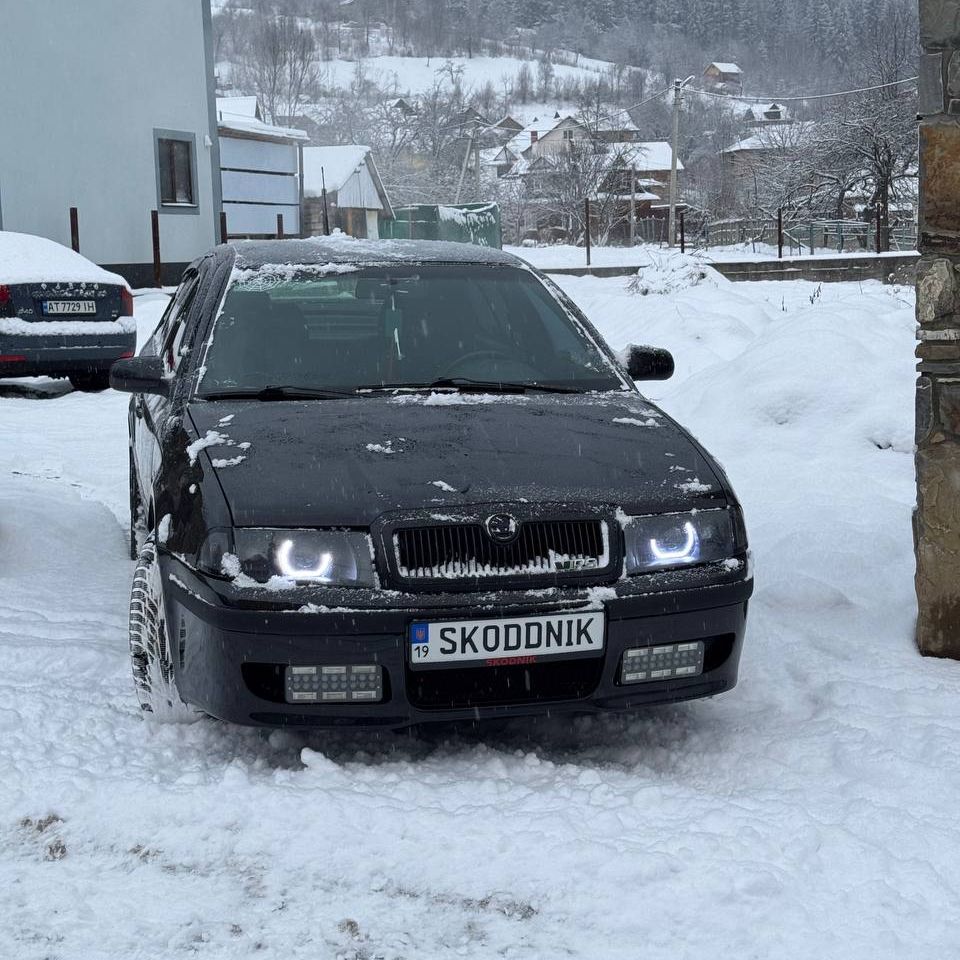 revaSKODDNIK