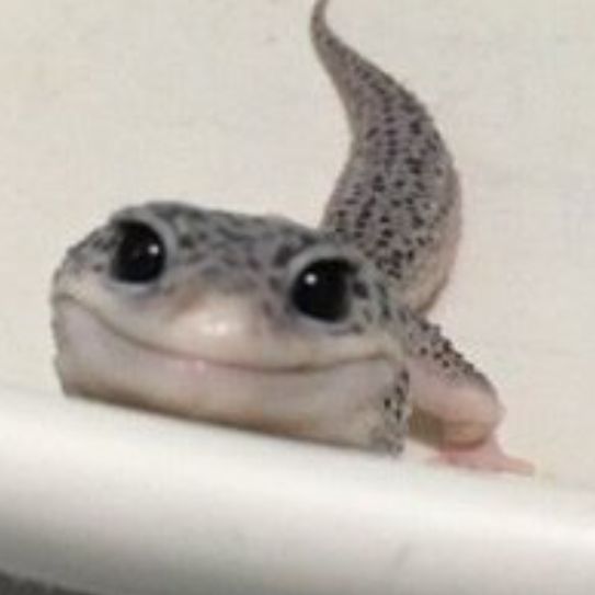 Dekerta7
