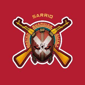 Player sarrio avatar