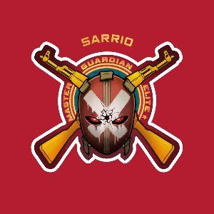 sarrio avatar