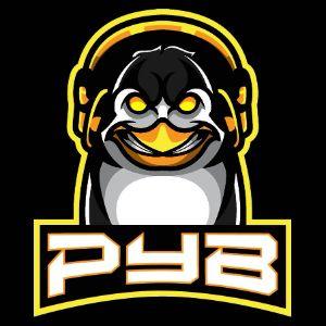 PYB0 avatar