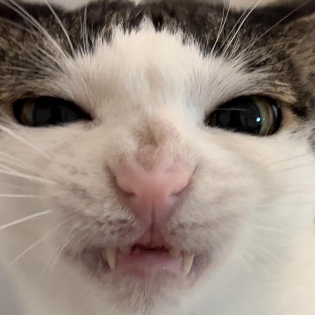 lhjkadfs