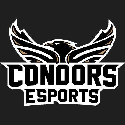 Condors Academy