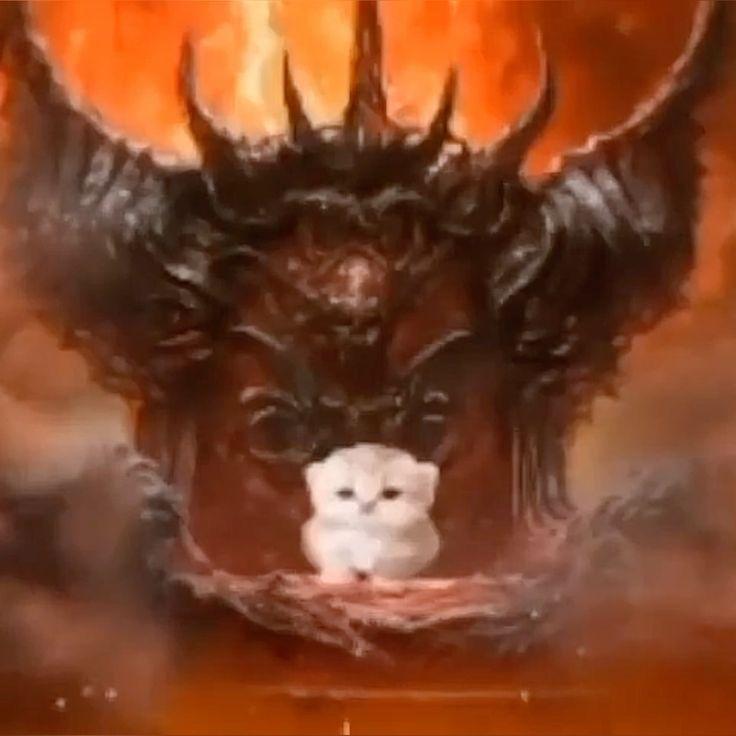 uIquiorra4