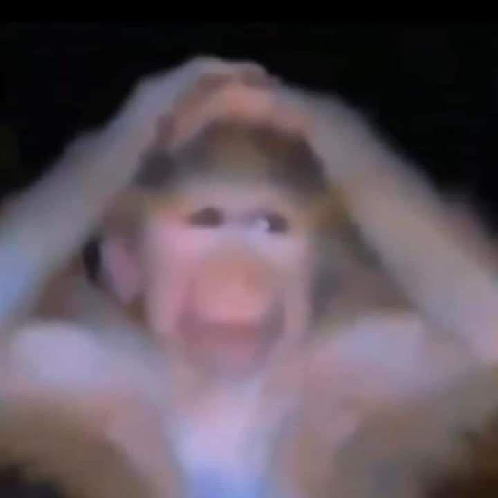 Bydern avatar