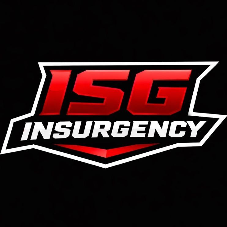 Insurgency
