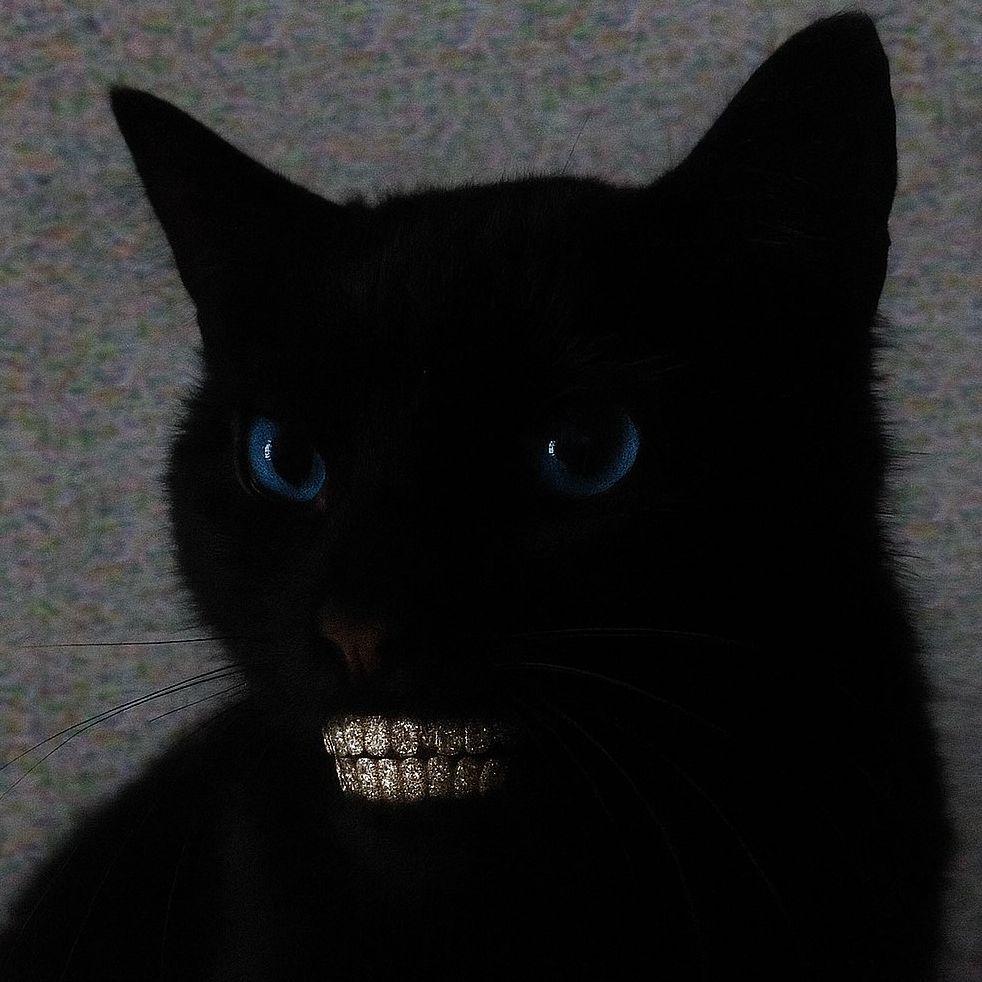 lokotai1 avatar