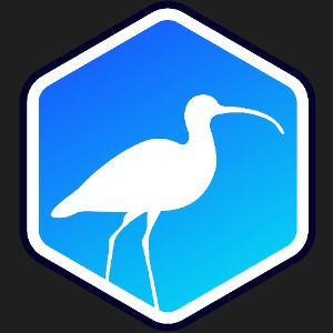 Curlews PARA