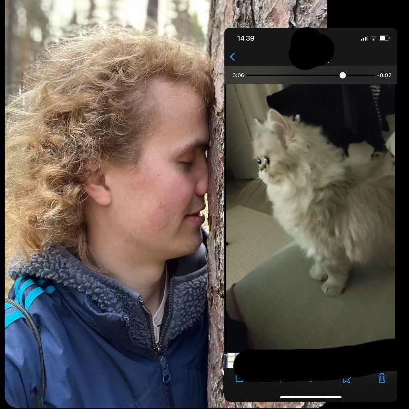 Saikkonee avatar
