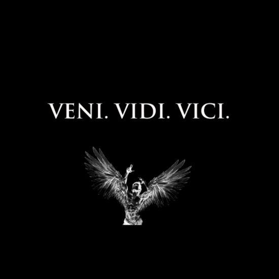 VeniV1diVici