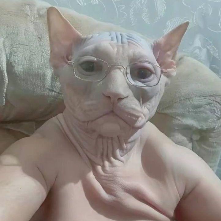 TheMaxDak avatar
