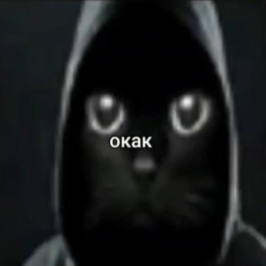 SAMMYGOGAME