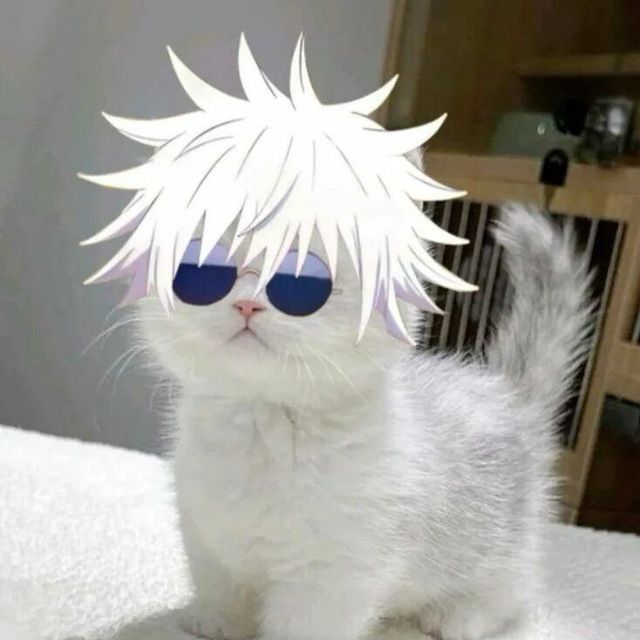 Lotikys