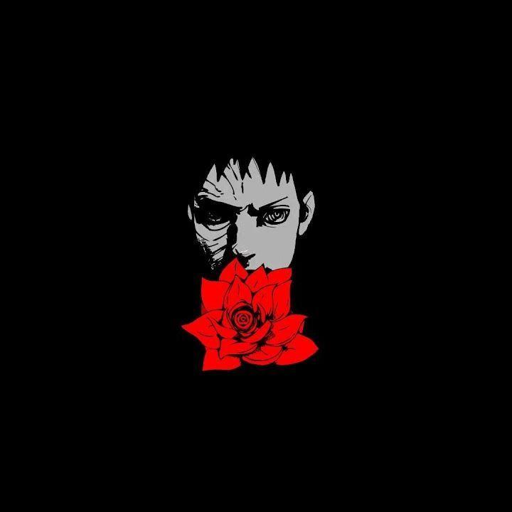 dvqz avatar