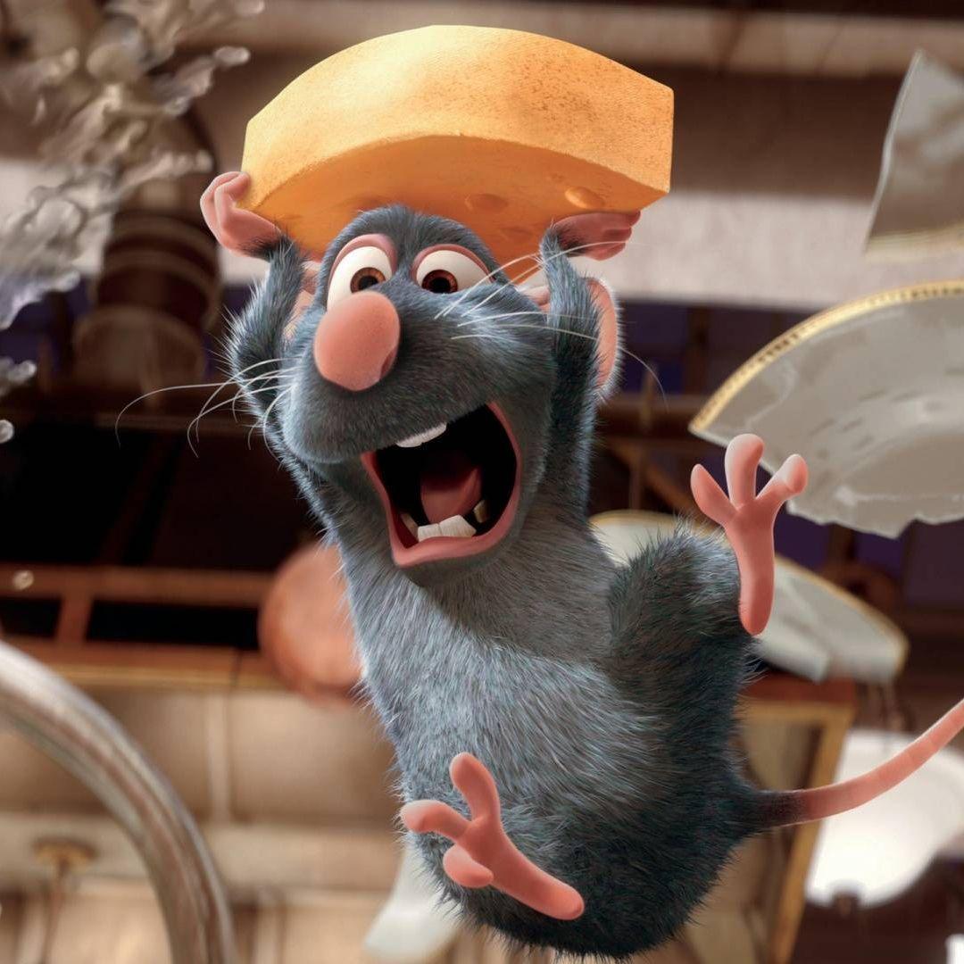 _Ratatouille
