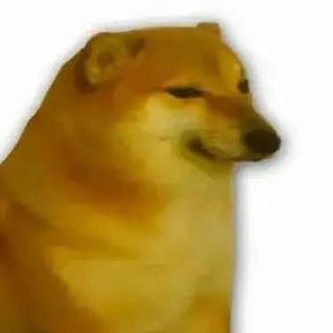 RecklessCZP
