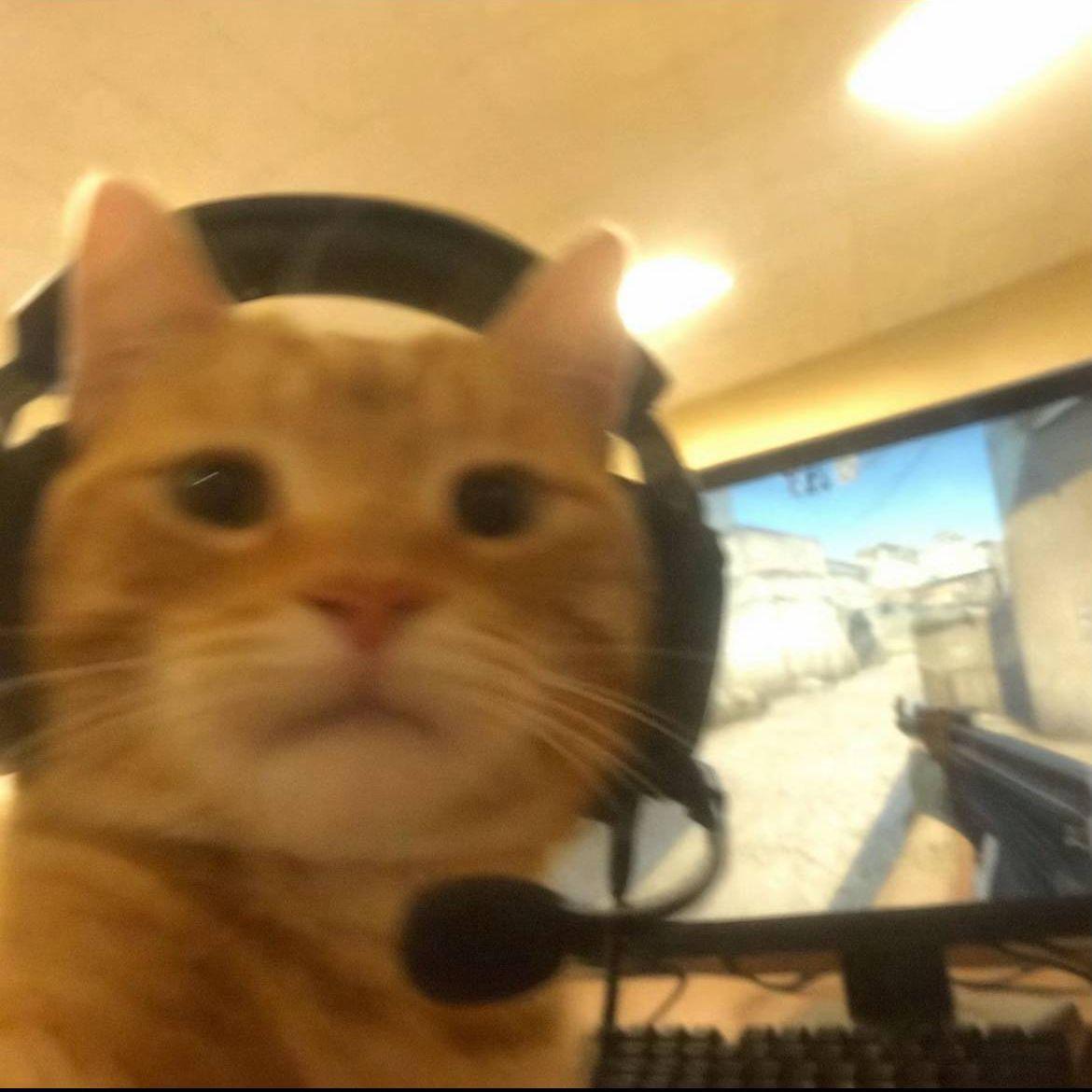 st0m