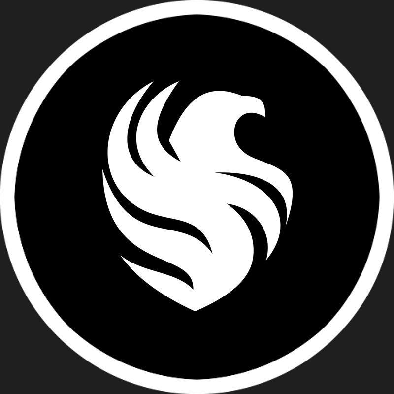 Team Falcons