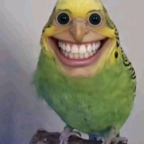 zxcBeastRazY