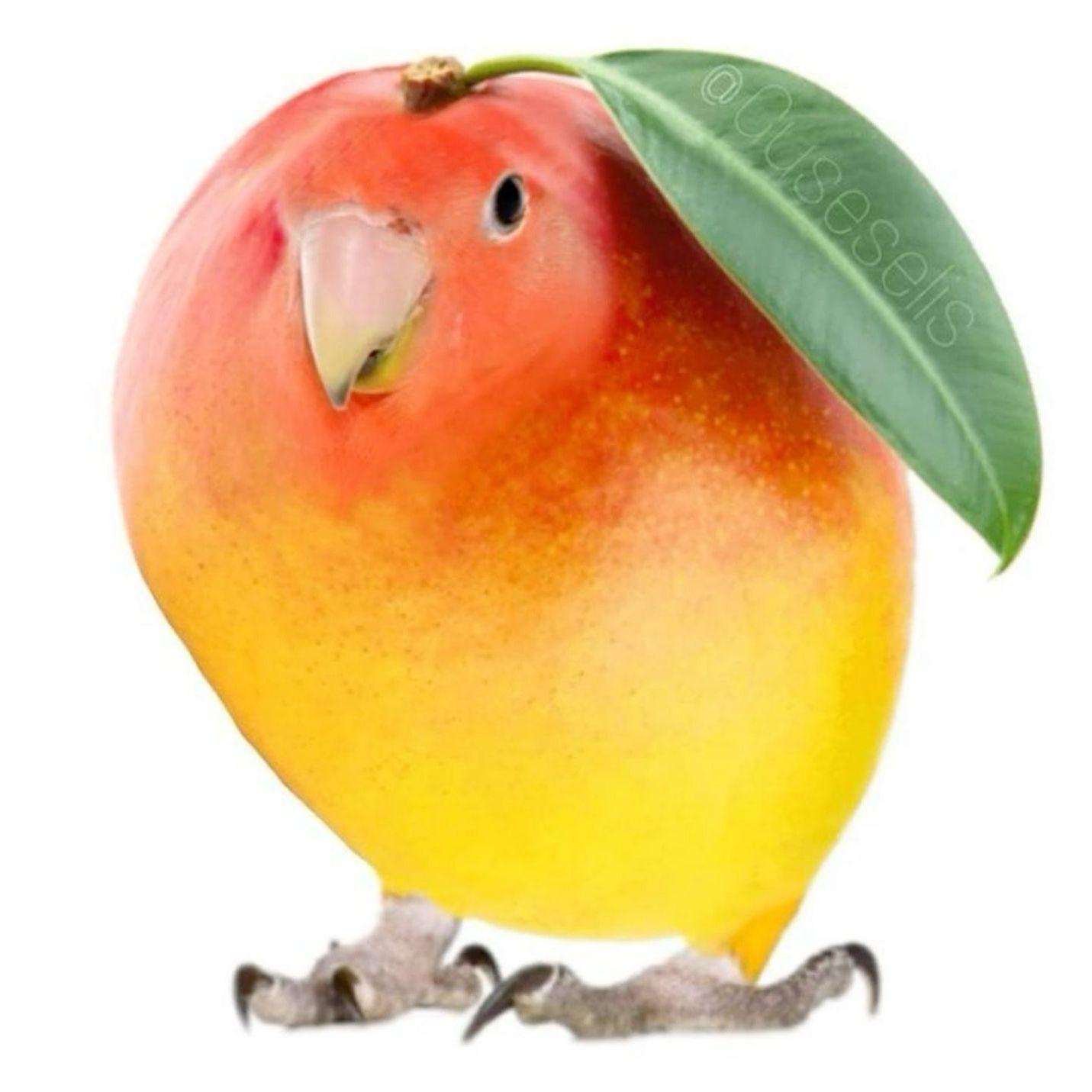 mangopr1me avatar