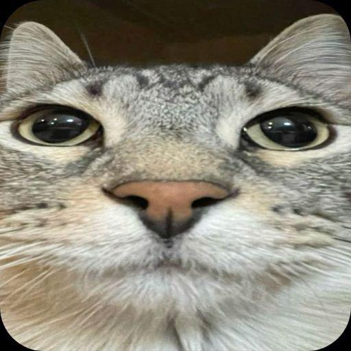 alioshaa avatar