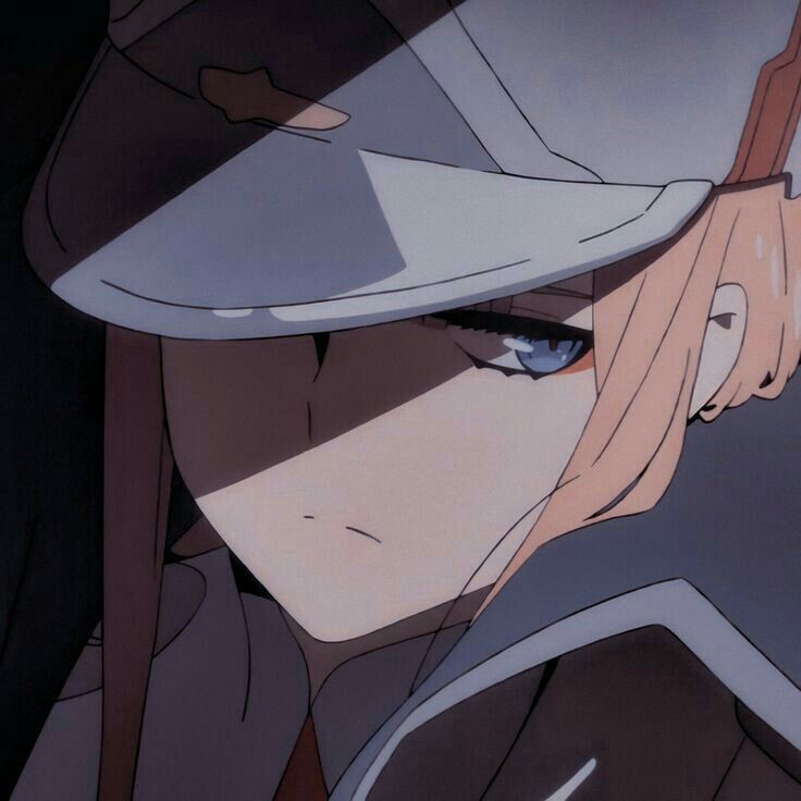 nazekk1