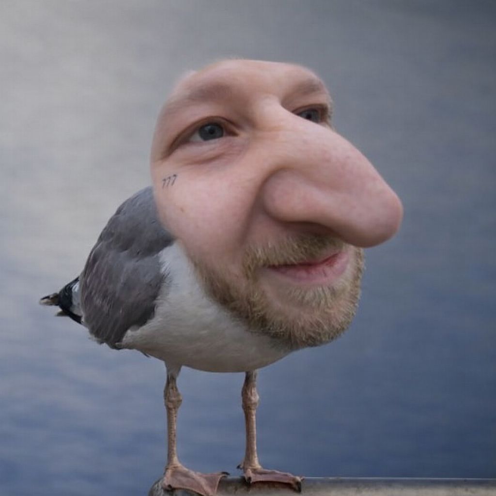 Piot3R