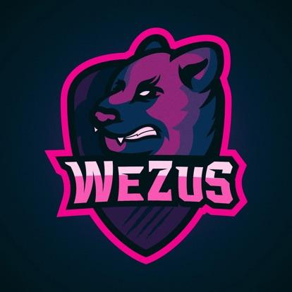 WeZuS Team