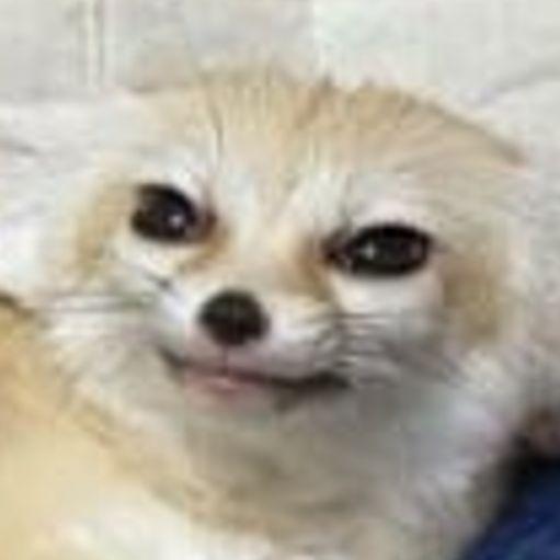 Foxlitefen avatar