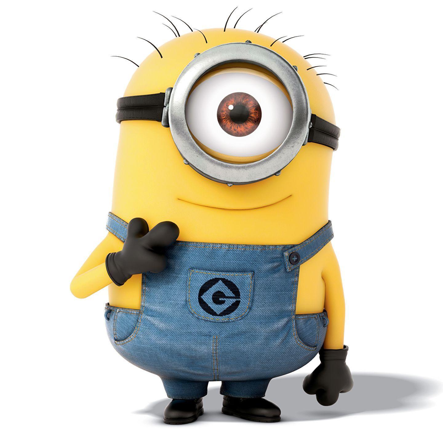 ykmk avatar