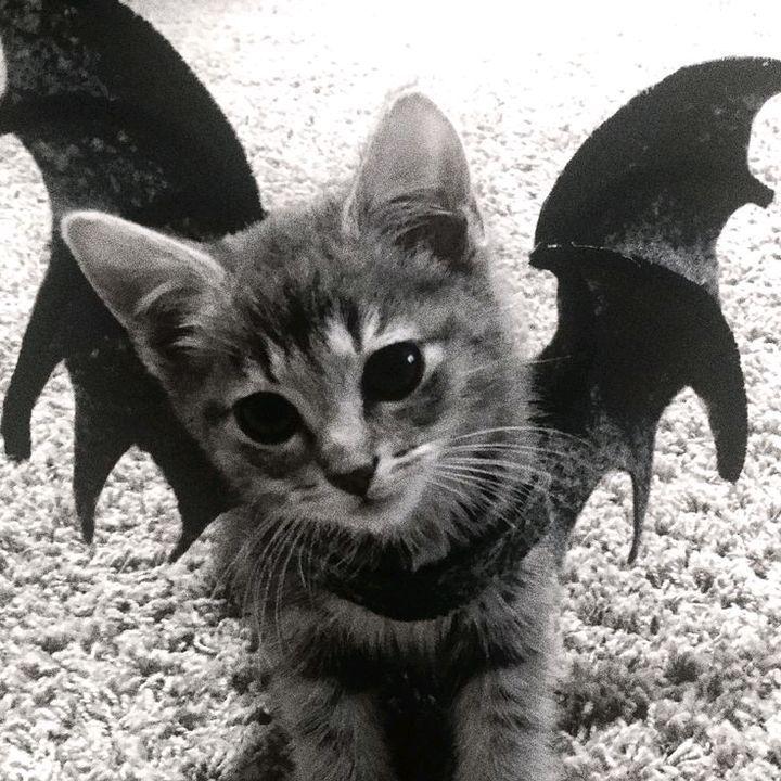 eternal666 avatar