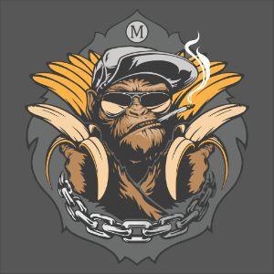 Player Monkey2TV avatar