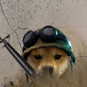 Faceit avatar