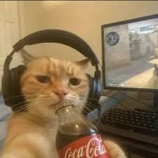 Shiryan7 FACEIT avatar