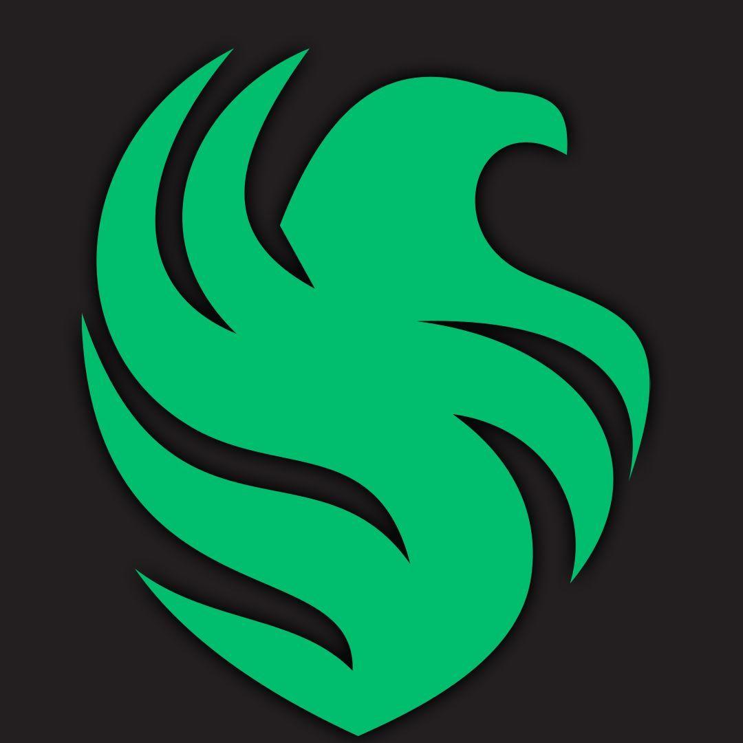Faceit avatar
