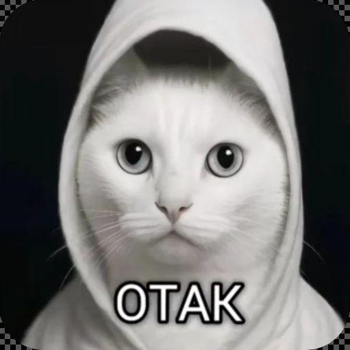 KRICONYTIY avatar
