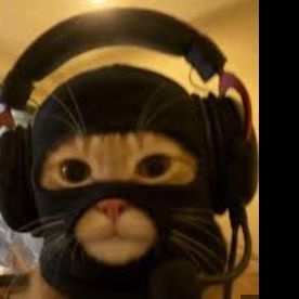 Mlodylufson