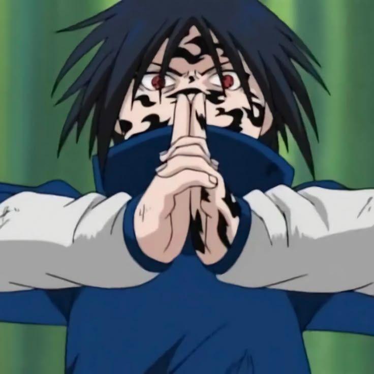 sinaIoa avatar
