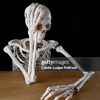 Skele