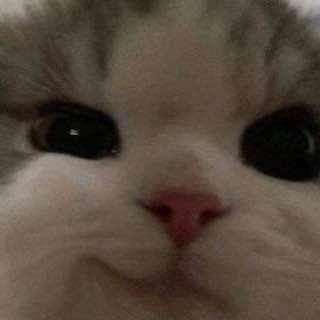 XdopaboiX avatar