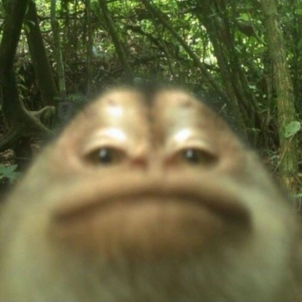 ToDxD_