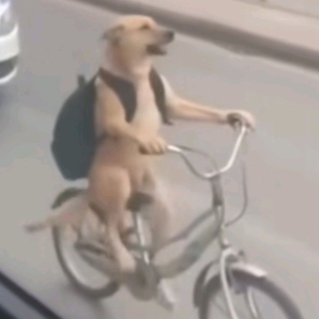 Abu_00