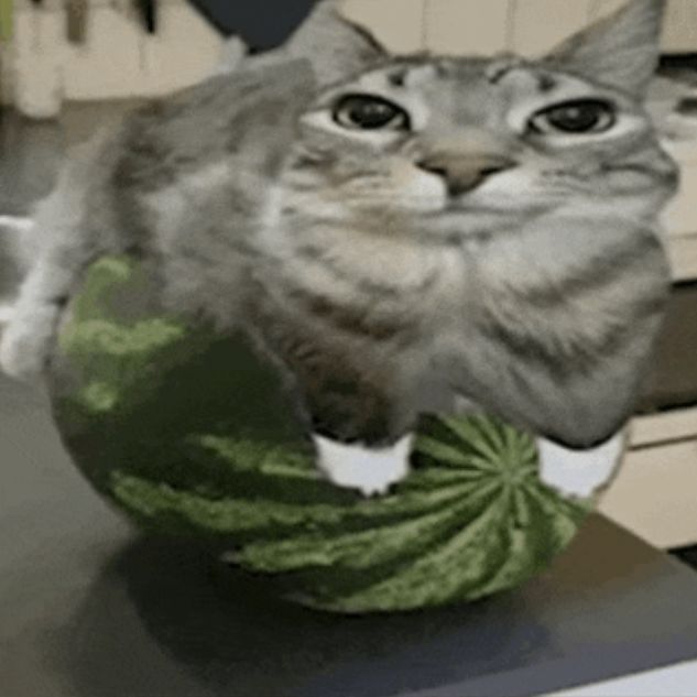 -ris