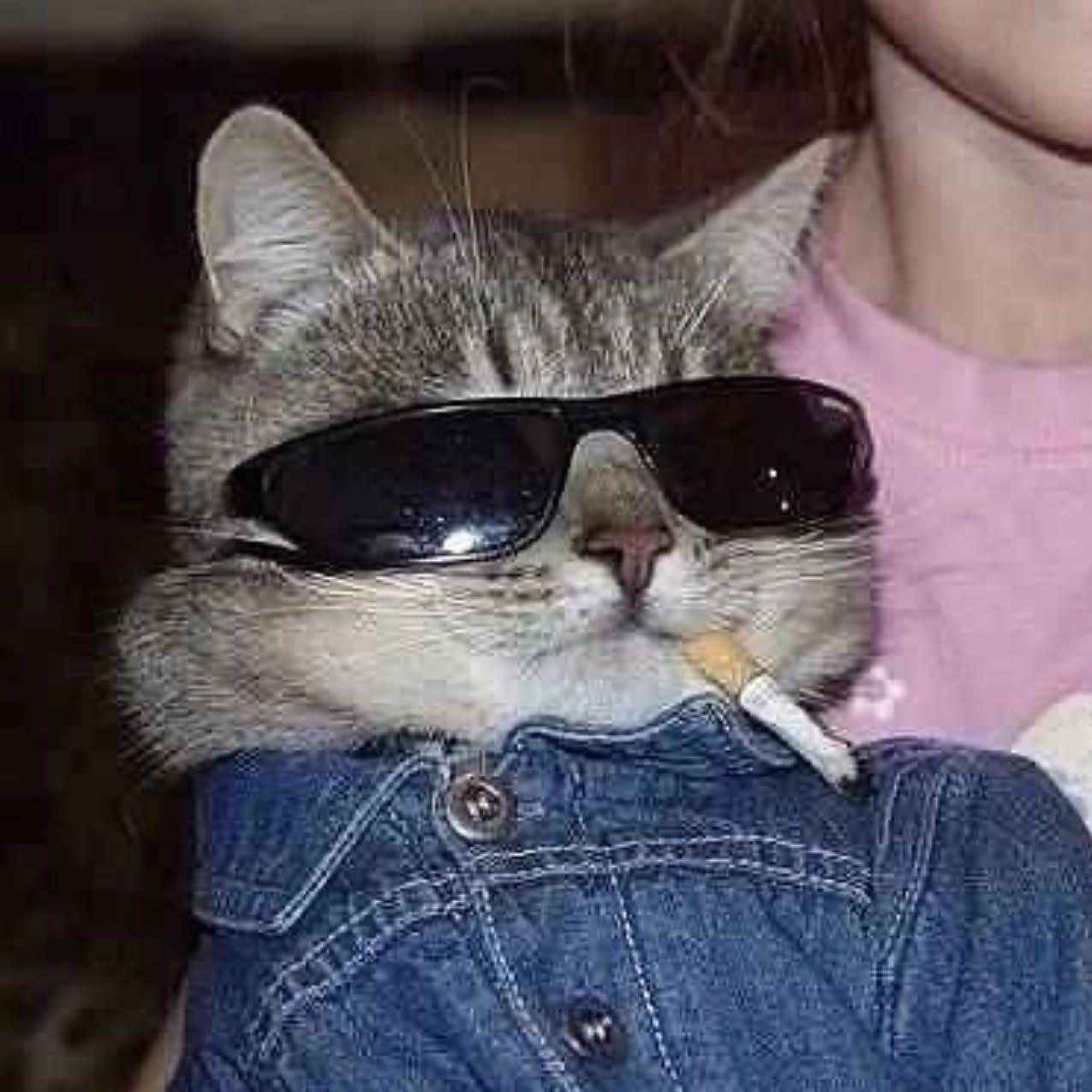 _SnikyPiky_ avatar